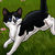 :iconask-secret-warrior: