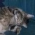 :iconask-the-unusual: