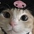 :iconask-thecreepypastas: