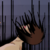 :iconask-toto: