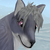 :iconask2pookamibelarus: