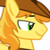 :iconaskbraeburn: