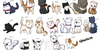 :iconaskcats:
