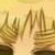 :iconaskenglandseyebrows: