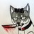 :iconaskgingadarkbelarus: