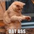 :iconaskingalexandra740:
