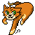 :iconaskkidflashcat: