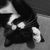 :iconaskmolossiacat: