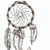 :iconasknativeamerica13: