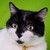 :iconaskriver: