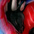 :iconaskrow: