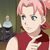 :iconasksakura-chan: