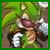 :iconaskscourge:
