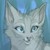 :iconasksilverstream: