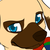 :iconasksouthafricarf: