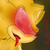 AskSuper-Sonic :iconasksuper-sonic: