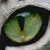 :iconaskxwillowbreeze: