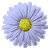 :iconasmaaimtiaz:
