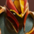 :iconasmodeanmage: