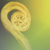 :iconasni-prints: