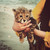 :iconasoomakhalid: