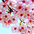 :iconasparade: