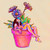 :iconaspartamee: