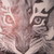 :iconaspenfox: