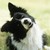 :iconaspergerdoggie: