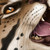:iconasphyxsia: