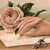 :iconaspiring-writer16: