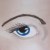 :iconasrayn: