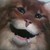 :iconassassin9571: