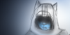 :iconassassinscreedshadow:
