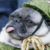 :iconasscancer: