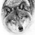 :iconastathewolf: