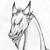 :iconastersky: