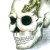 :iconasthenie:
