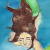 :iconastrastella: