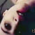 :iconastrid-and-vee: