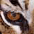 :iconastridmorgenstern: