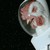astronuggets :iconastronuggets: