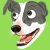 :iconastrozebra: