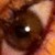 :iconasunderdarling: