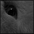 :iconasveen: