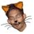 :iconasvin-varsani: