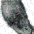 :iconasylumseaker: