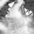 :iconat8166: