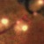 :iconateabat: