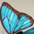 :iconateiler:
